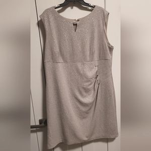 Plus Sleeveless Silver Glittery Dress